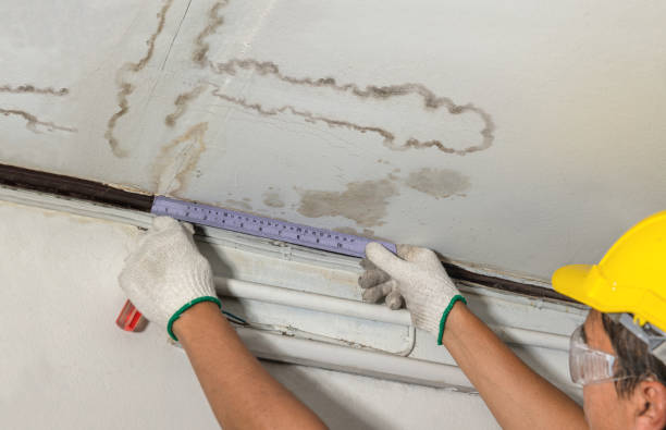 Reliable Mold Remediation contractor in Carlton, OR by Water Damage Irwin